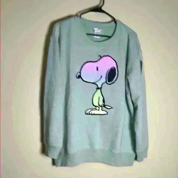 Peanuts Sweaters - Peanut’s women Sweater./ sweatshirt